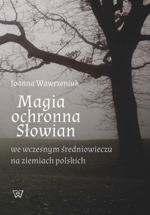 Magia ochronna Słowian we wczesnym średniowieczu na ziemiach polskich