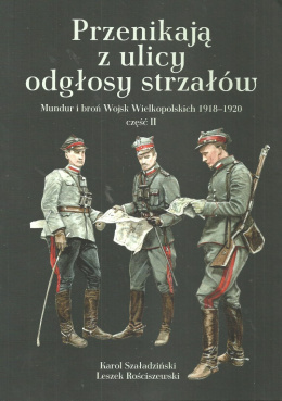 Przenikają z ulicy odgłosy strzałów. Mundur i broń Wojsk Wielkopolskich 1918-1920 część II