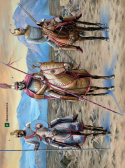 Rzymska ciężkozbrojna konnica (1) Cataphractarii i Clibanarii I w. przed Chr.-V w. po Chr.