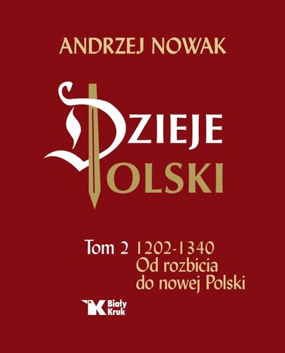 Dzieje Polski Tom 2 Od rozbicia do nowej Polski