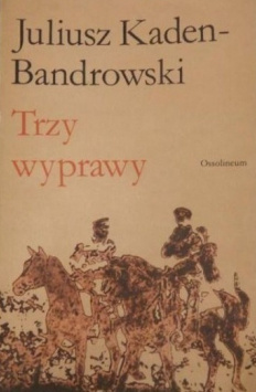 Trzy wyprawy. Wyprawa do Polski - wyprawa wileńska - wyprawa na Kijów