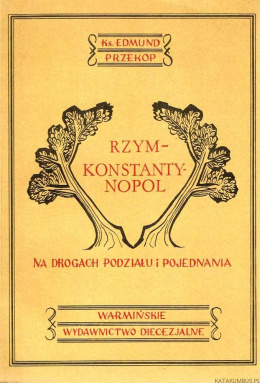 Rzym-Konstantynopol. Na drogach podziału i pojednania