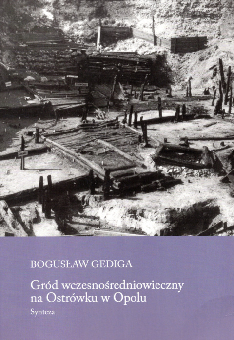Gród wczesnośredniowieczny na Ostrówku w Opolu. Synteza