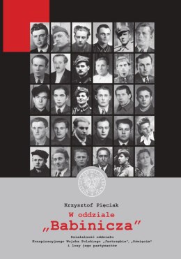 W oddziale „Babinicza”. Działalność oddziału Konspiracyjnego Wojska Polskiego „Jastrzębie”/„Oświęcim” i losy jego partyzantów