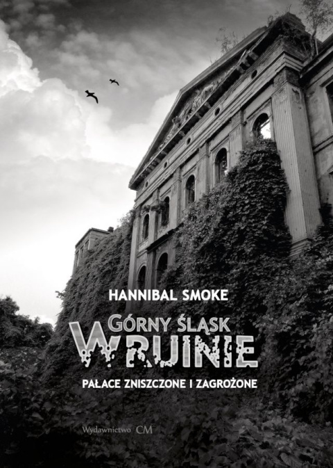 Górny Śląsk w ruinie. Pałace zniszczone i zagrożone Górny Śląsk w ruinie. Pałace zniszczone i zagrożone