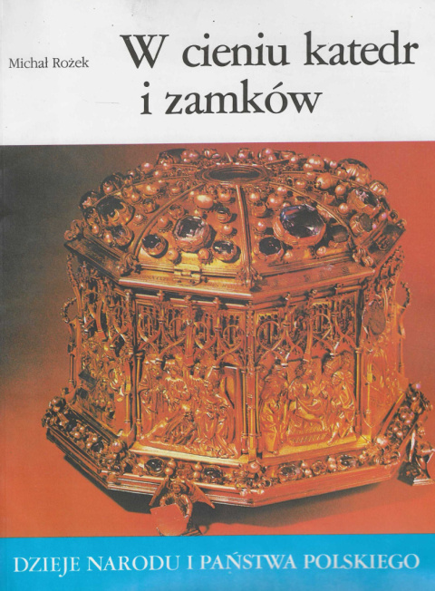 W cieniu katedr i zamków. Dzieje narodu i państwa polskiego