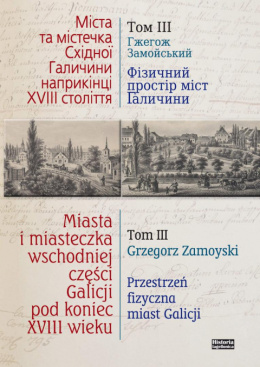 Miasta i miasteczka wschodniej części Galicji pod koniec XVIII wieku Tom III. Przestrzeń fizyczna miast Galicji