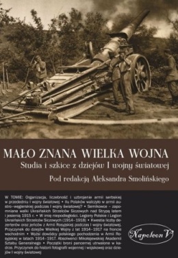 Mało znana Wielka Wojna. Studia i szkice z dziejów I wojny światowej