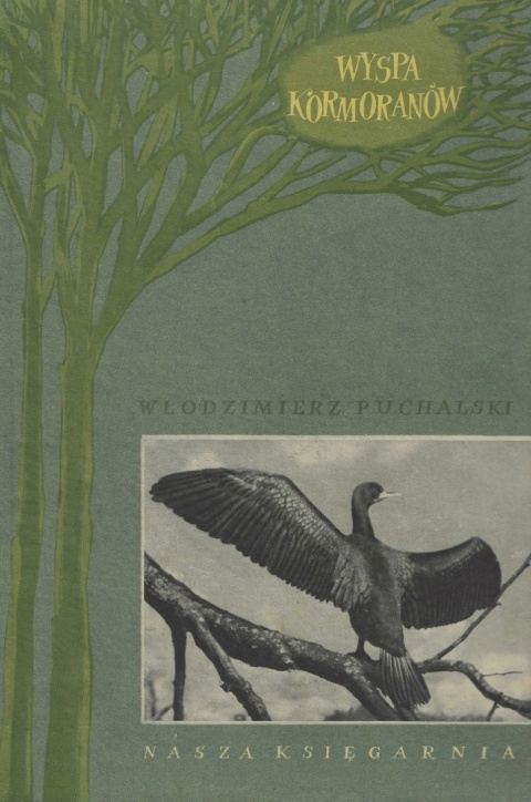 Wyspa Kormoranów