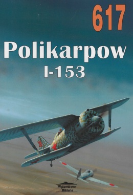 Polikarpow I-153 Tom 617