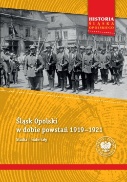 Śląsk Opolski w dobie powstań 1919 - 1921. Studia i materiały