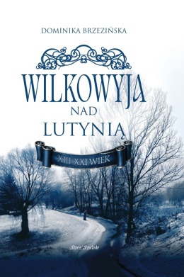 Wilkowyja nad Lutynią XIII - XXI wiek